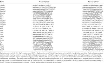 Astragalus Polysaccharides Ameliorate Diet-Induced Gallstone Formation by Modulating Synthesis of Bile Acids and the Gut Microbiota